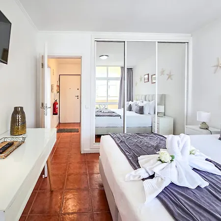 Rocha Varandas Orquidea 포티마오